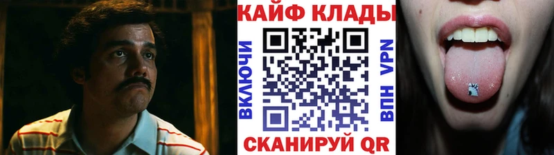 Псилоцибиновые грибы Тогучин